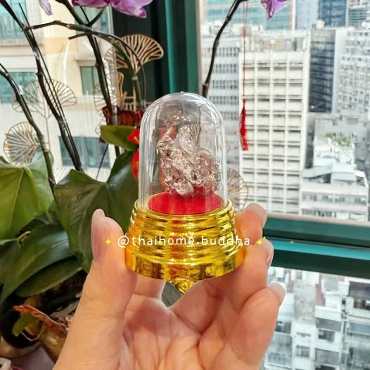 ✨龍婆頌碰 力泥✨